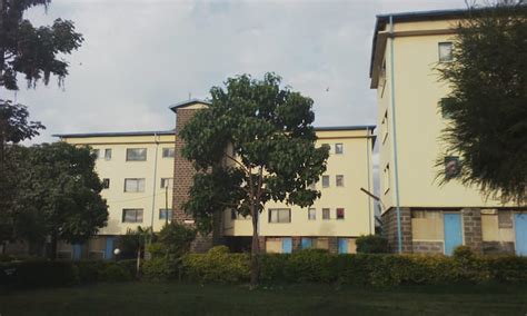 MKU Nakuru campus courses, intake requirements, and fees - Tuko.co.ke