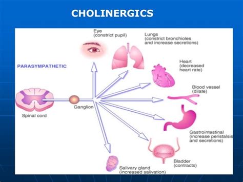 Parasympathomimetic drugs