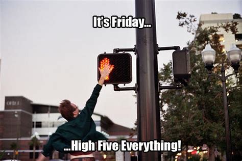 It's Friday! High Five Everything! - 16 Pics