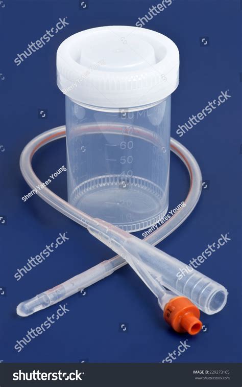 Urinary Catheter Specimen Collection Cup On Stock Photo 229273165 ...