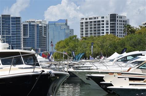 Marina jacks stock photo. Image of boats, sarasota, summer - 117985754