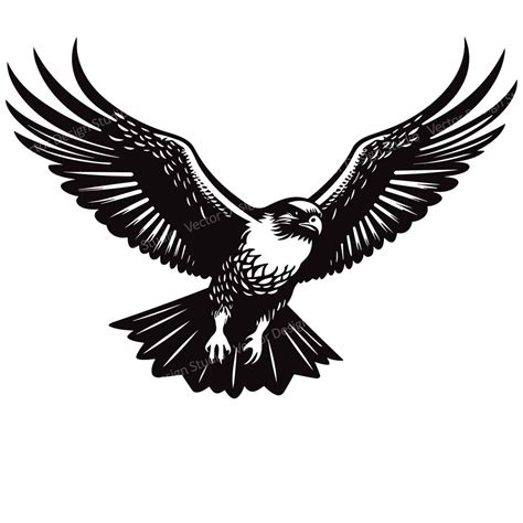 Falcon Flying SVG File Flying American Falcon Vector Images, Falcon Clipart SVG Image for Logo ...