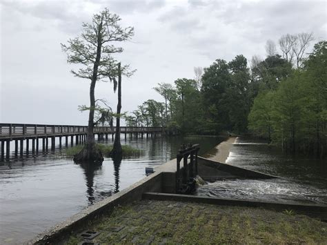 Lake Waccamaw Dam | Swim Guide