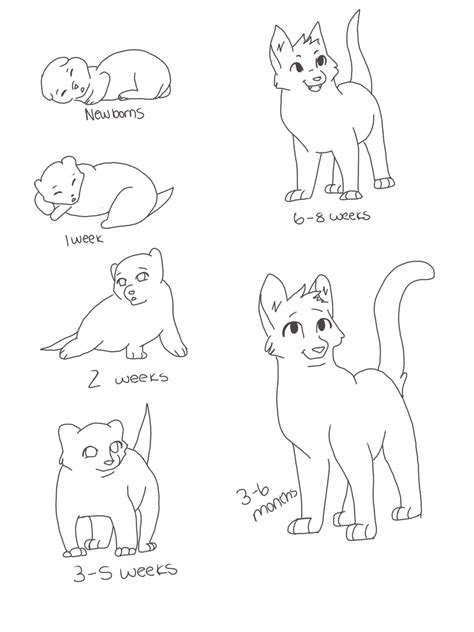 Warrior Cat Age Chart | Cat drawing tutorial, Warrior cat drawings ...