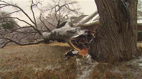 Long-term impact of North Texas ice storm seen in tree damage | wfaa.com