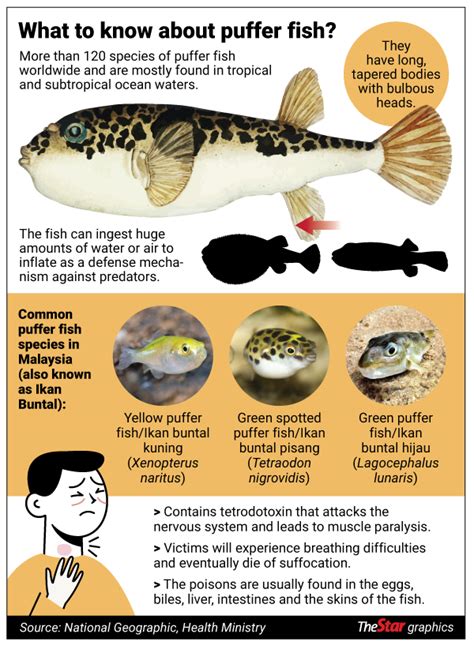 For some Malaysians, the forbidden fugu is a delicacy