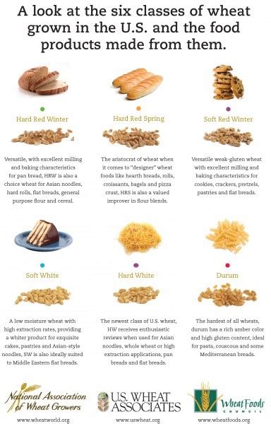 What Are the Different Types of Wheat? | Kansas Farm Food