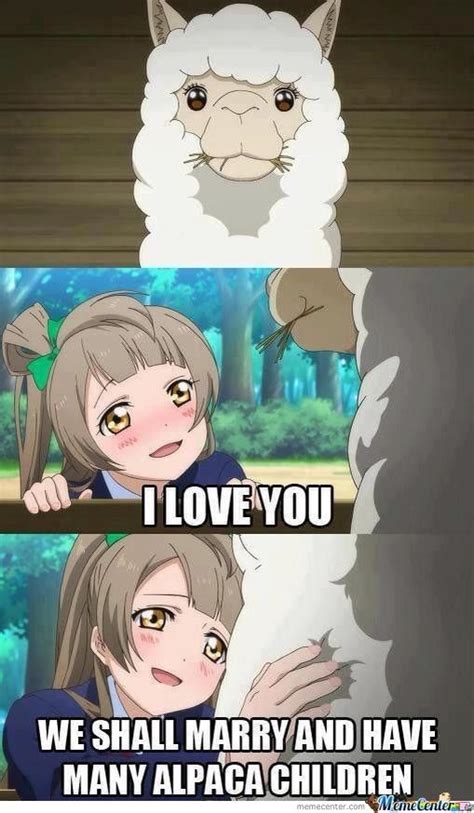 18 best images about Love Live Anime Memes on Pinterest | Wool, Thug ...