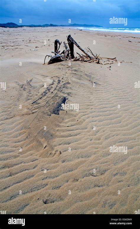 St lucia wetland park hi-res stock photography and images - Alamy