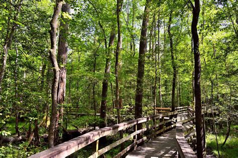 10 Wheelchair-accessible National Park Trails in the U.S.