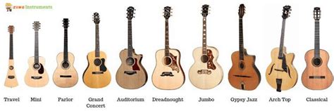 Types of Acoustic Guitar Bodies : r/coolguides