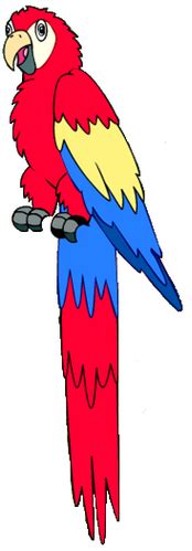 Scarlet macaw | Go, Diego, Go! Wiki | Fandom