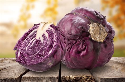 The secrets of red cabbage revealed! - FreshMAG