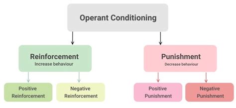 Operant Conditioning Examples