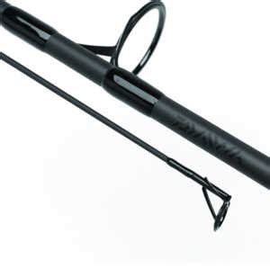 Best Carp Rods List - 2025 Carp Rod Reviews