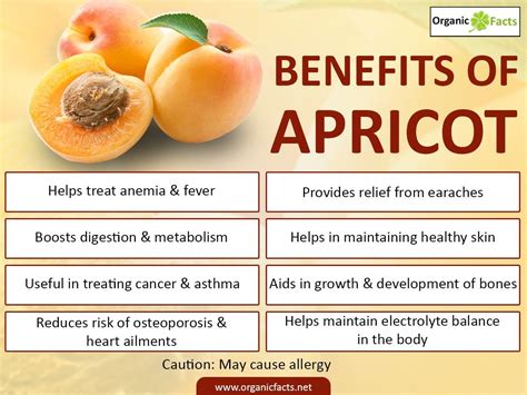 apricotinfo Nutrition Food List, Fruit Nutrition, Nutrition Chart, Nutrition Store, Nutrition ...