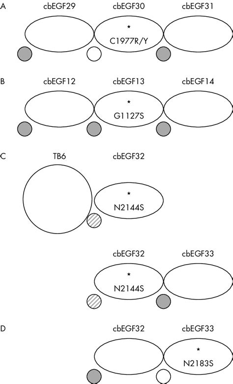 Schematic illustration of the variable effects of missense mutations on... | Download Scientific ...