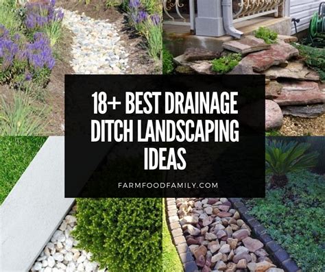 18+ Best Drainage Ditch Landscaping Ideas & Designs For Your Yard