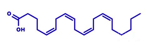 Arachidonic Acid Molecule Photograph by Molekuul/science Photo Library - Pixels