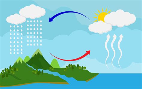 Condensation Water Cycle Diagram