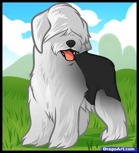 How to draw sheep dog | Sheepdog, Old english sheepdog, Dog drawing