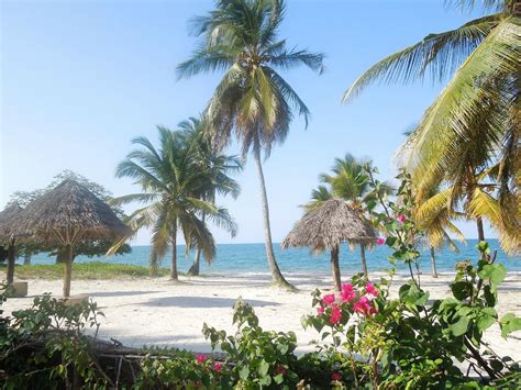 NEW BAGAMOYO BEACH RESORT : Prezzi e Recensioni 2024