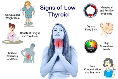 Hypothyroidism Weight Gain Hair Loss | Blog Dandk