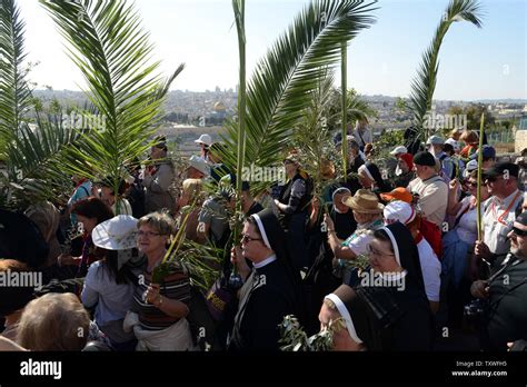 Christians carry palm and olive branches during the traditional Palm ...