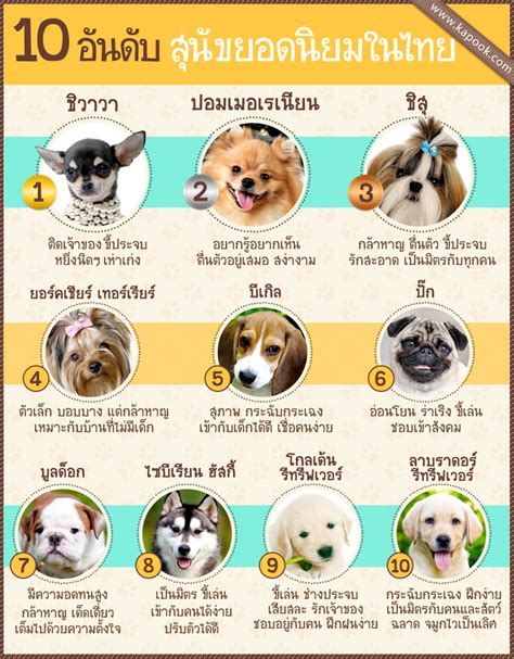 10 อันดับ สุนัขยอดฮิตของคนไทย