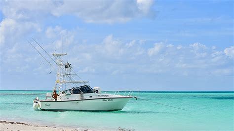 Fishing Cozumel | Spearfishing Today