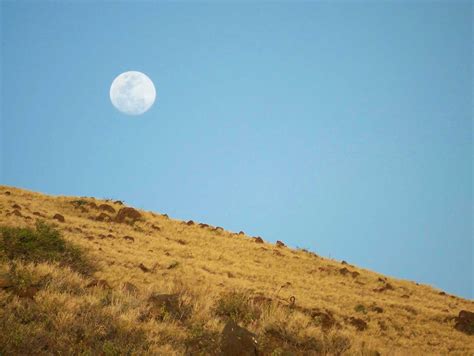 Hawaiian Moon in Daytime - Hawaii Pictures