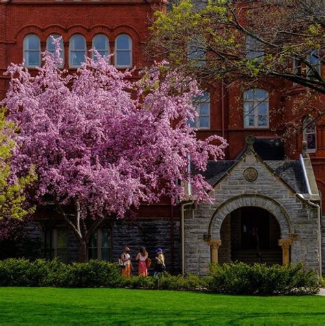 About Macalester - About