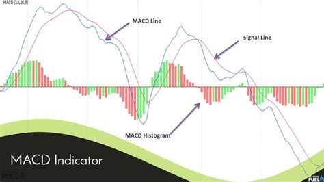 How to Use the MACD Indicator Effectively? – Complete Guide