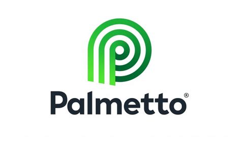 Solar installation marketplace Palmetto raises another $375 million | Solar Builder