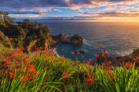 Sunset Cove | McWay Falls | Big Sur, California | Max Foster Photography