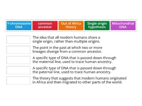 Out of Africa Theory Key Terms and Concepts - Match up