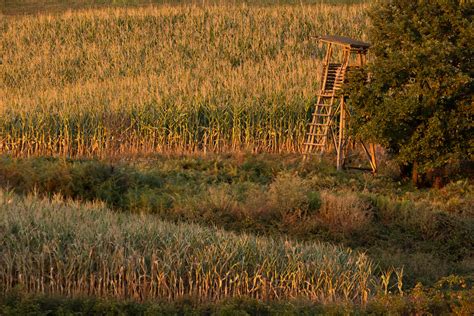 Sunny evening landscape by luka567 on DeviantArt