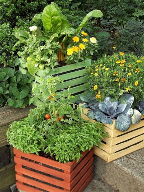 15 Wonderful Edible Plants Ideas To Enhance Your Backyard Garden - lmolnar