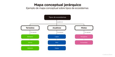 Mapa conceptual - Qué es, cómo hacer uno y ejemplos