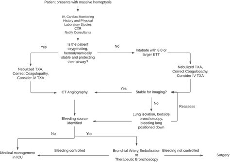 The emergency department evaluation and management of massive ...