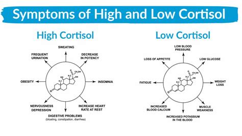 The Blood Sugar Fat Loss Connection - What to Know- Dr. Daniel