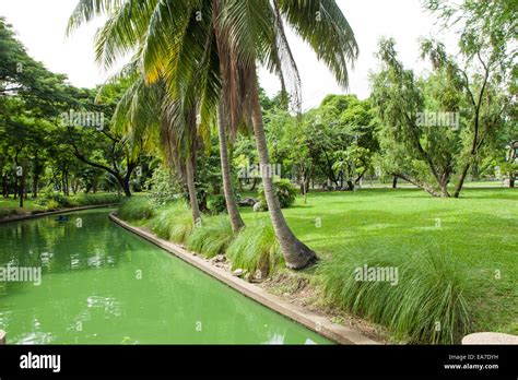 Lumpini park Bangkok, Thailand Stock Photo - Alamy