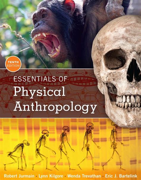 Essentials of Physical Anthropology (10th Edition) – YakiBooki