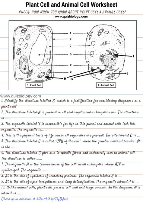 Plant Vs Animal Cells Worksheets