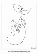 Bean Seed Sprouting Sprout Book Printable Shape Color Enchantedlearning  sketch template