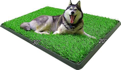 Indoor Dog Potty Grass Pad – Puppy Potty Training Artificial Grass Mats,Dog Fake Grass Pee Pad ...