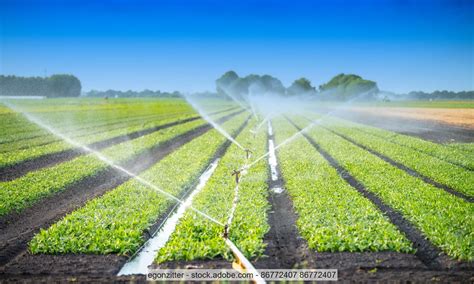 In Deutschland werden immer mehr landwirtschaftliche Freiflächen bewässert