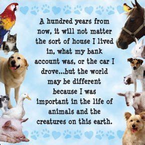 Animal Farm Dogs Quotes. QuotesGram