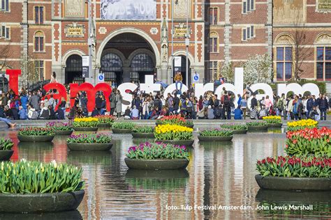 Tulp Festival 2020 - Tulip Festival Amsterdam