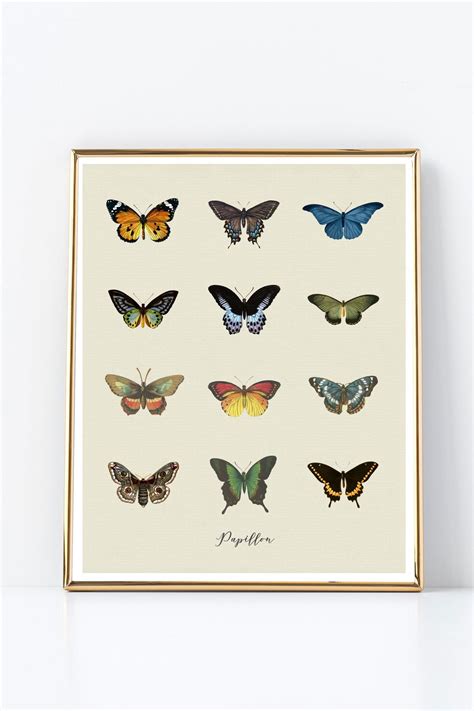 Papillon Butterfly No. 1 Printable Art